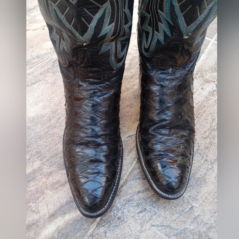 Pre Ban Anteater Cowboy Boots - Picture 2 of 16